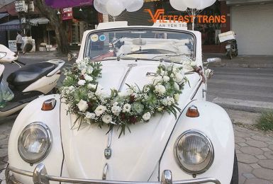 [Full] Bí Kíp thuê và chọn xe ngày cưới trọn gói bạn cần biết