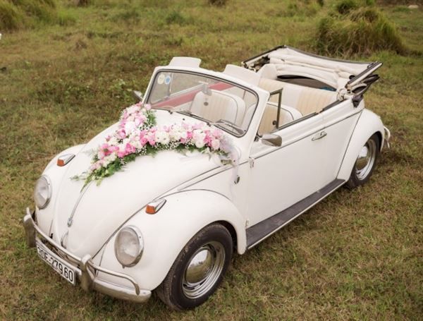 Cho thuê xe cưới Volkswagen con bọ Mui cứng, Mui Trần